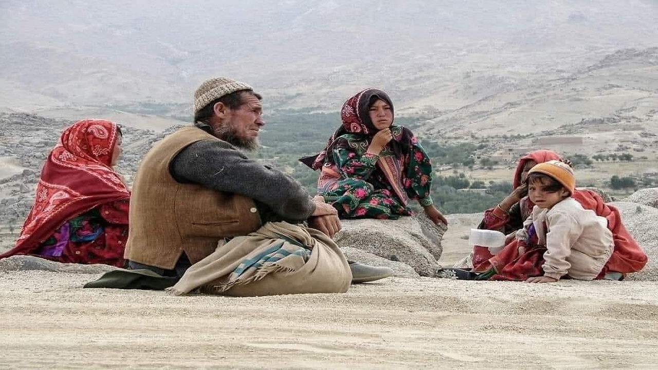کوچ اجباری شیعیان‌ هزاره در دایکندی؛ بی‌پناهی آوارگان در فصل سرما