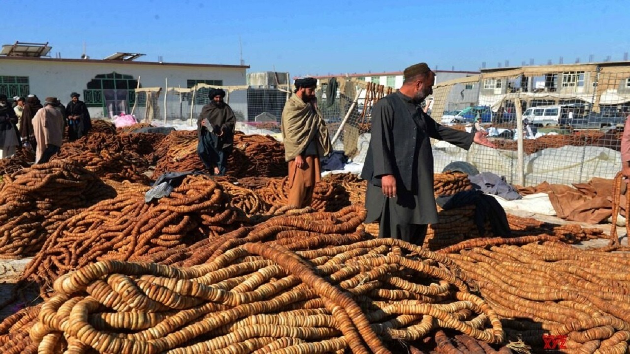 افغانستان ۱۱۲ میلیون دالر انجیر خشک در سال جاری صادرات کرده است