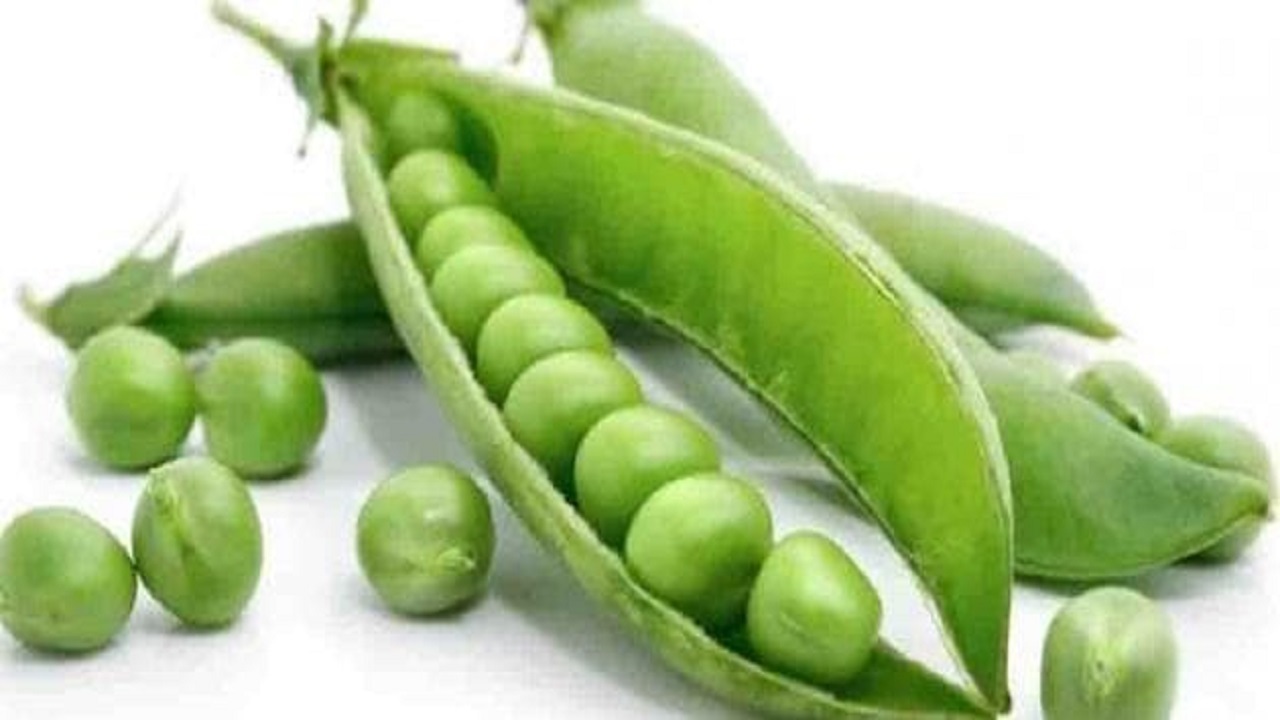 صفات ژنتیکی