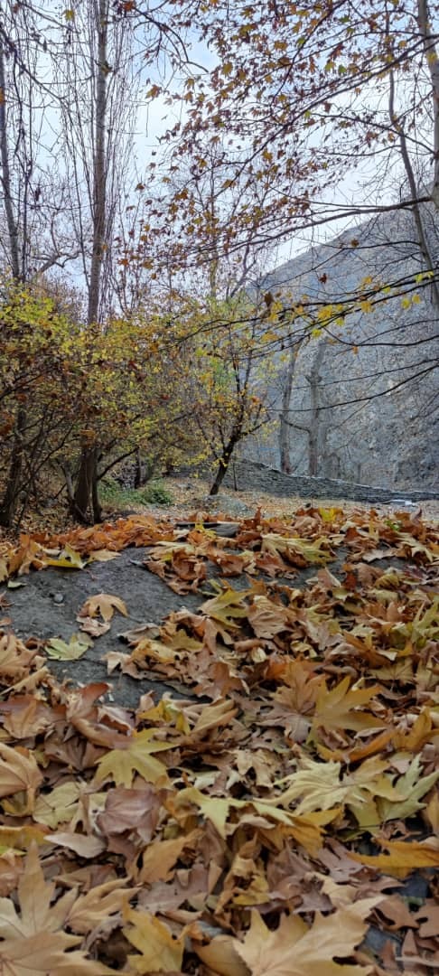 روستای کنگ،با قدمت ۳ هزار ساله و پیش از اسلام در خراسان+تصاویر