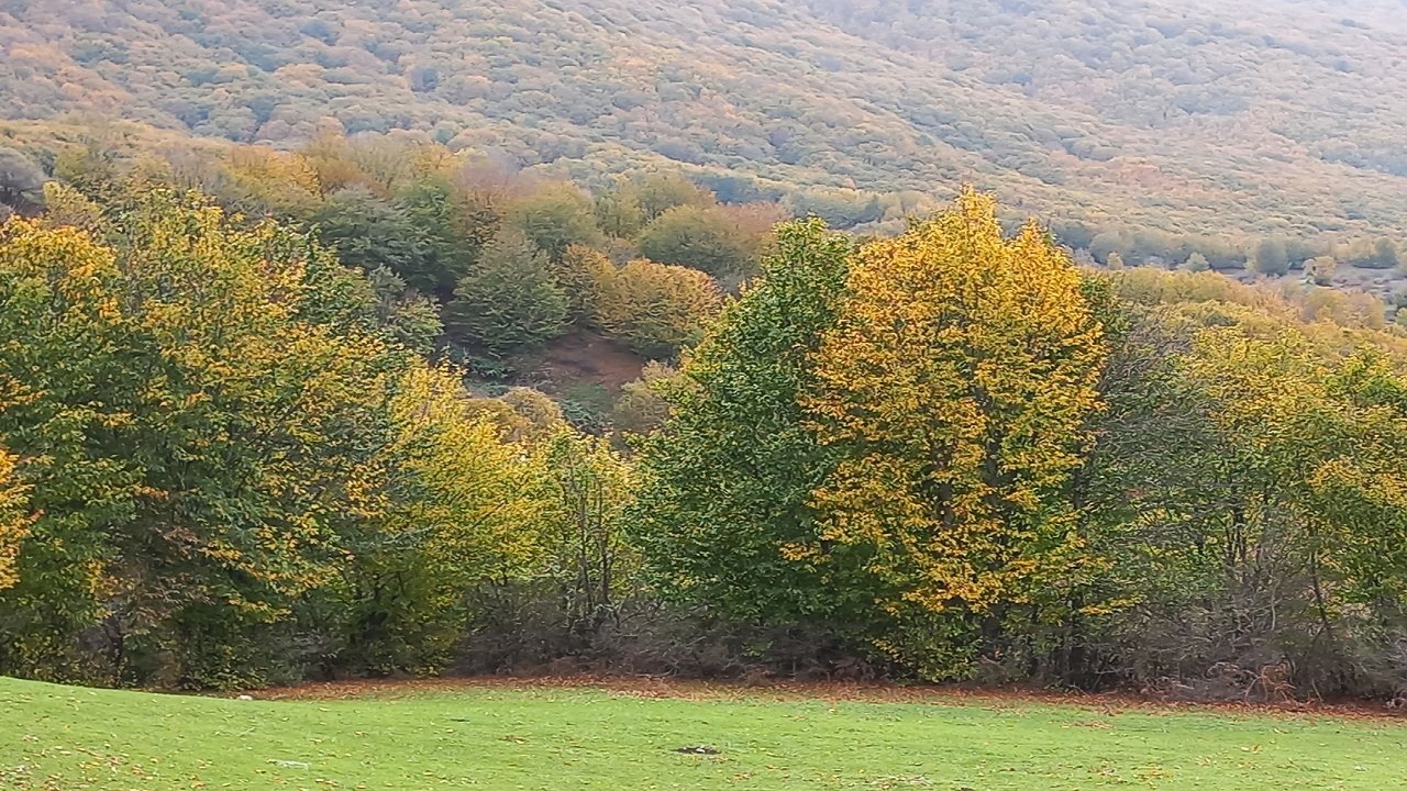 سامانه بارشی از گیلان خارج می‌شود/ استقرار هوای پایدار تا اواسط هفته