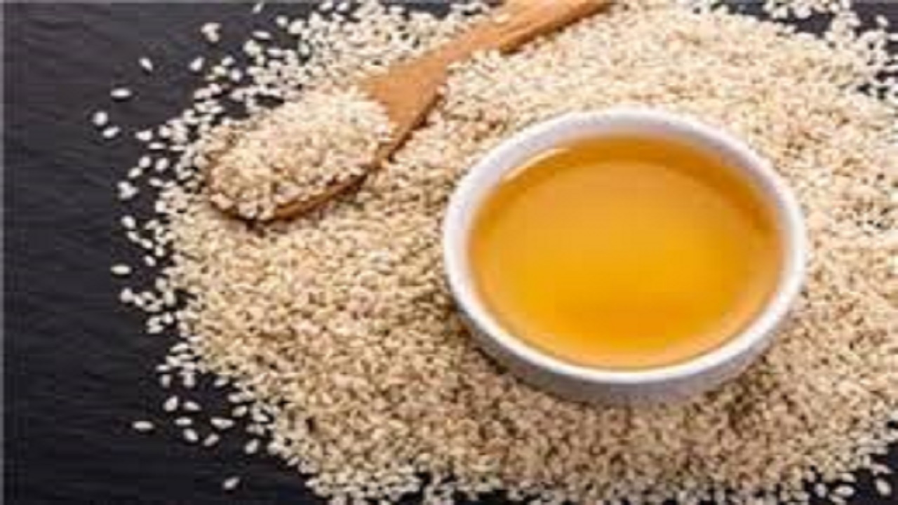 برداشت کنجد در بمپور