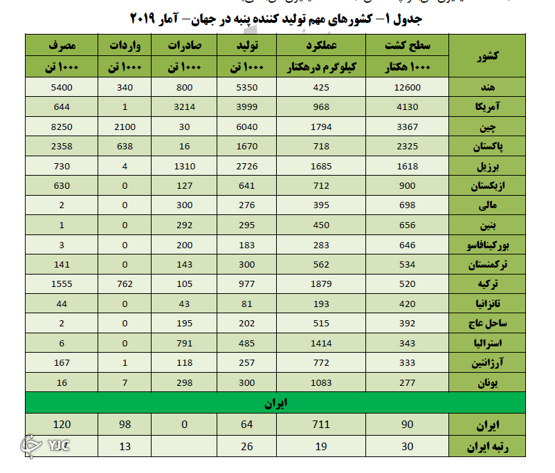 کاموا