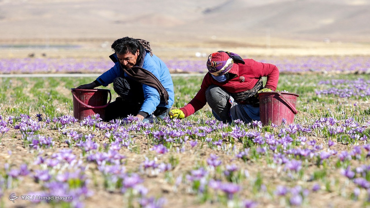تور گردشگری خراسانگرد برای اولین بار در خراسان رضوی برگزار می شود