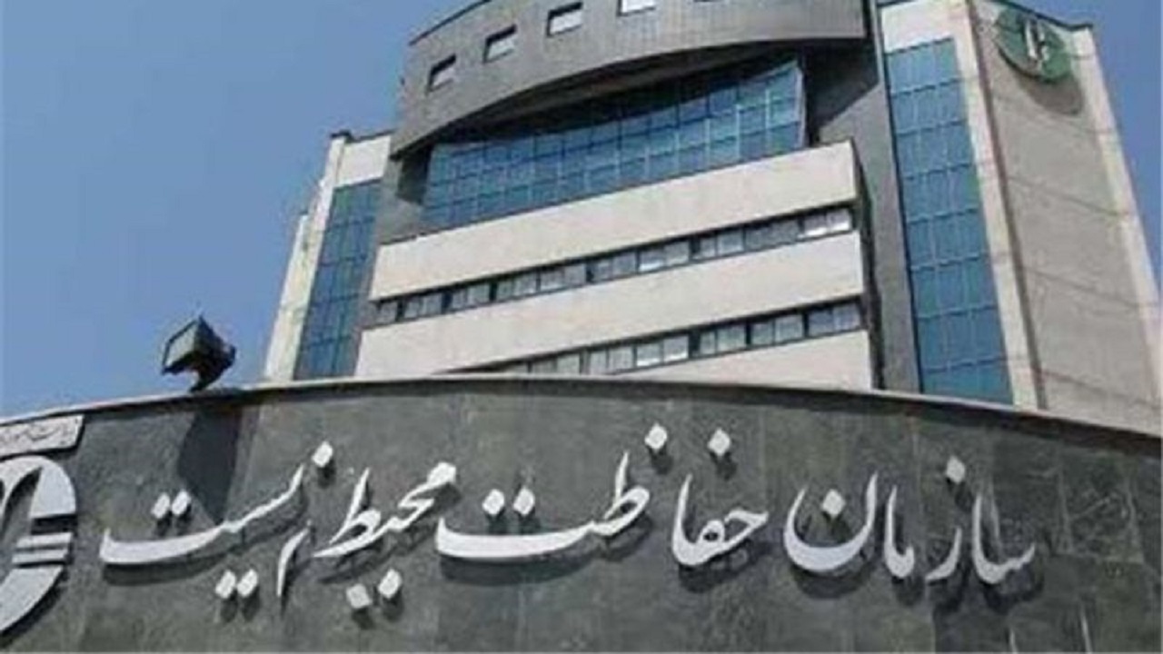 محیط زیست وظیفه‌ای برای جمع آوری سگ‌های ولگرد ندارد