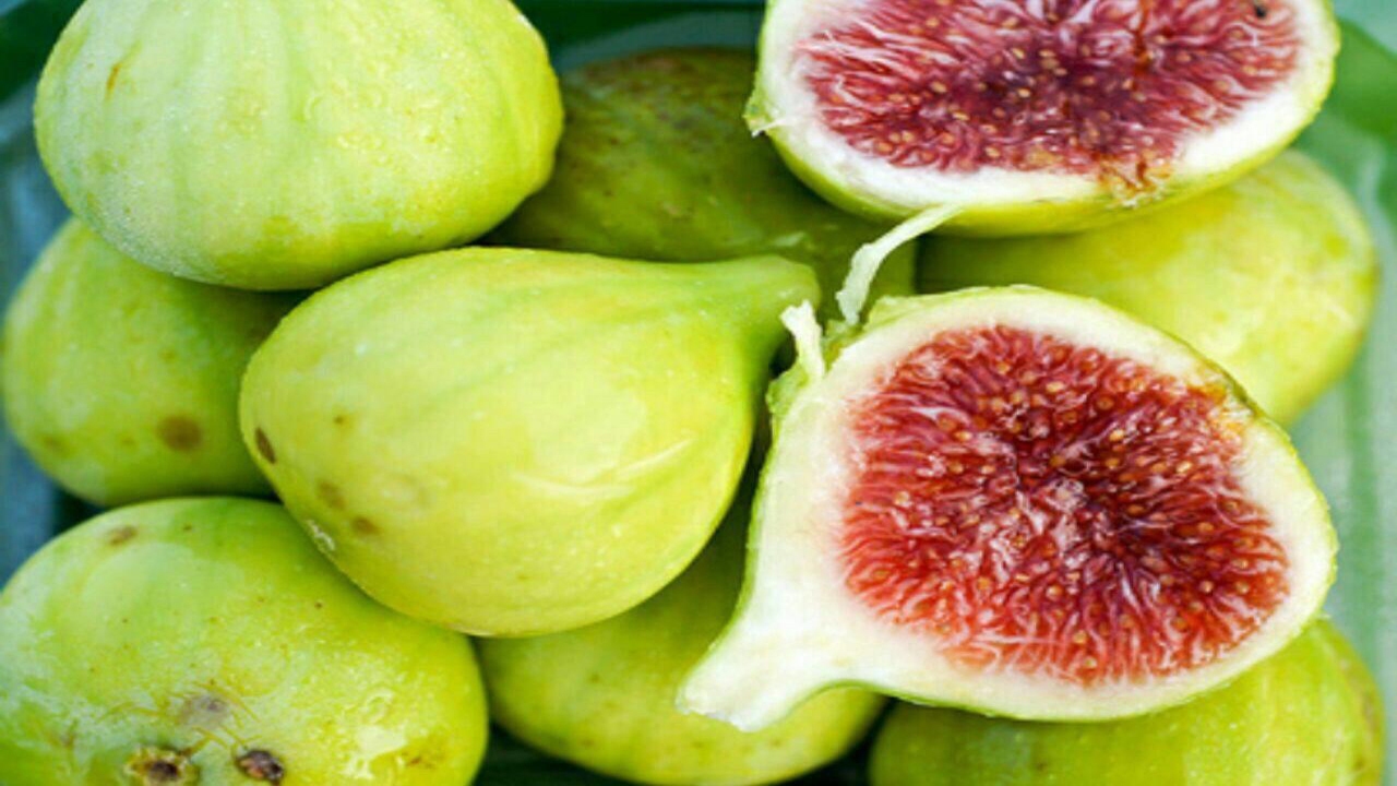 صادرات بیش از یک میلیون دلار انجیر از فارس