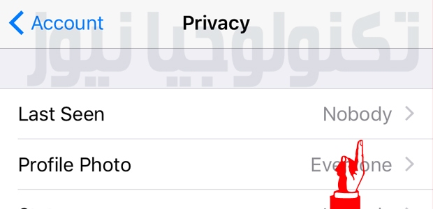 پنهان کردن آخرین بازدید