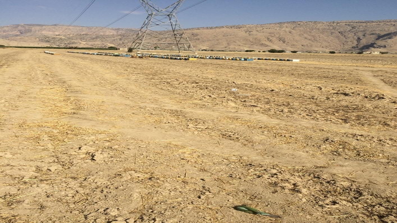 دستگیری عاملان کشتار پرنده زنبورخوار در شهرستان رستم
