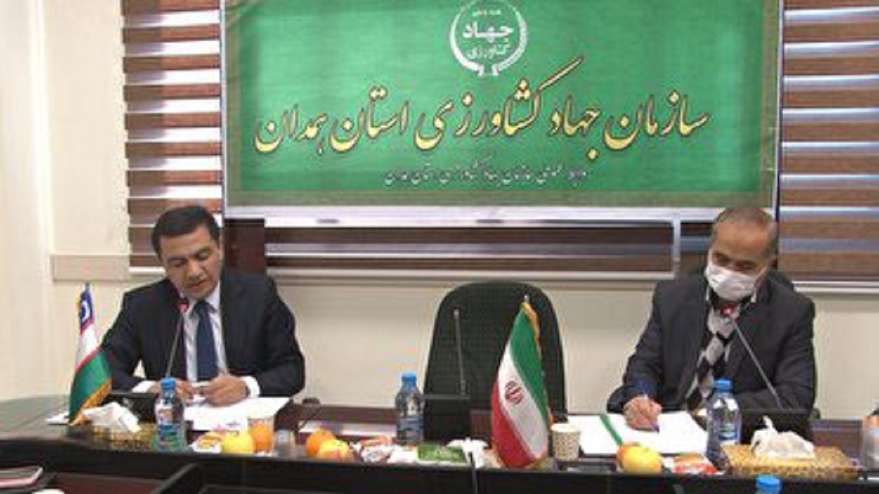 نشست کارآفرینان ازبکستانی در خصوص آشنایی با ظرفیت‌های استان همدان با معاونان جهاد کشاورزی