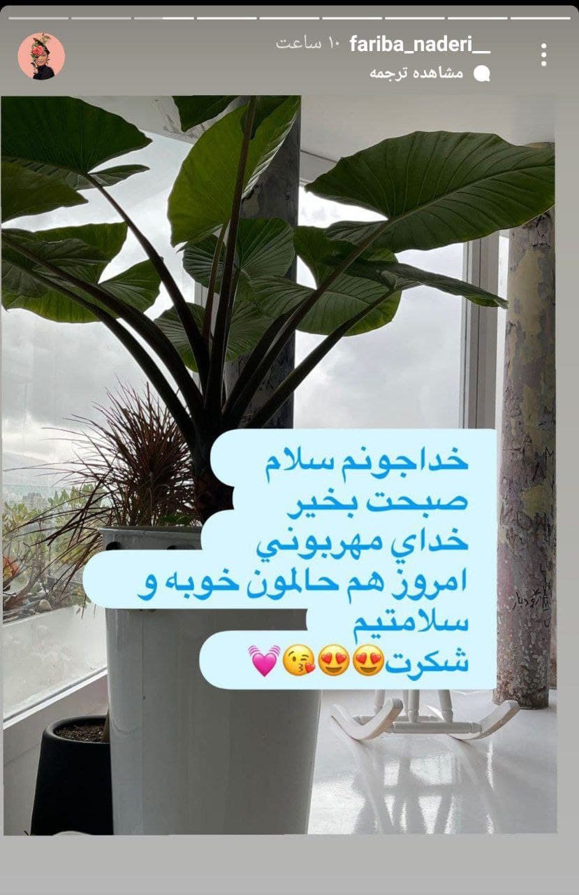 شکرگزاری و انرژی مثبت فریبا نادری در فضای مجازی