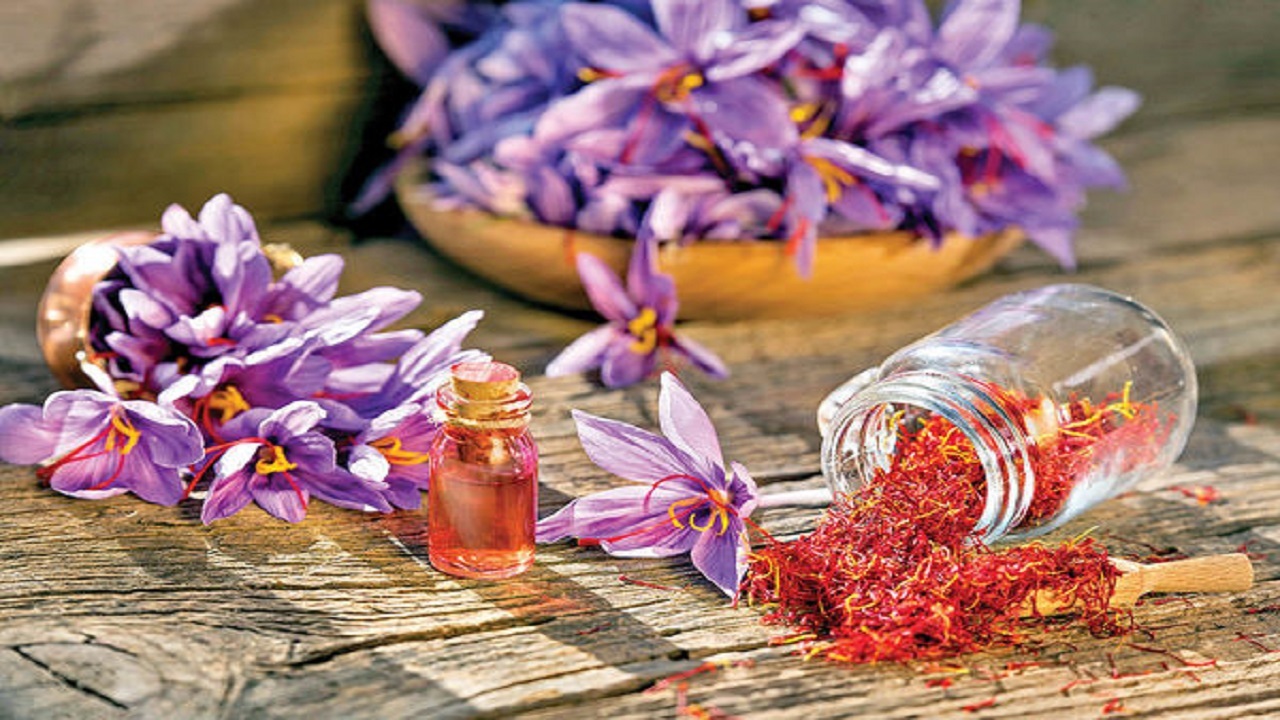 سفری برای معرفی طلای سرخ/ برگزاری نخستین تور گردشگری کشاورزی در تربت حیدریه