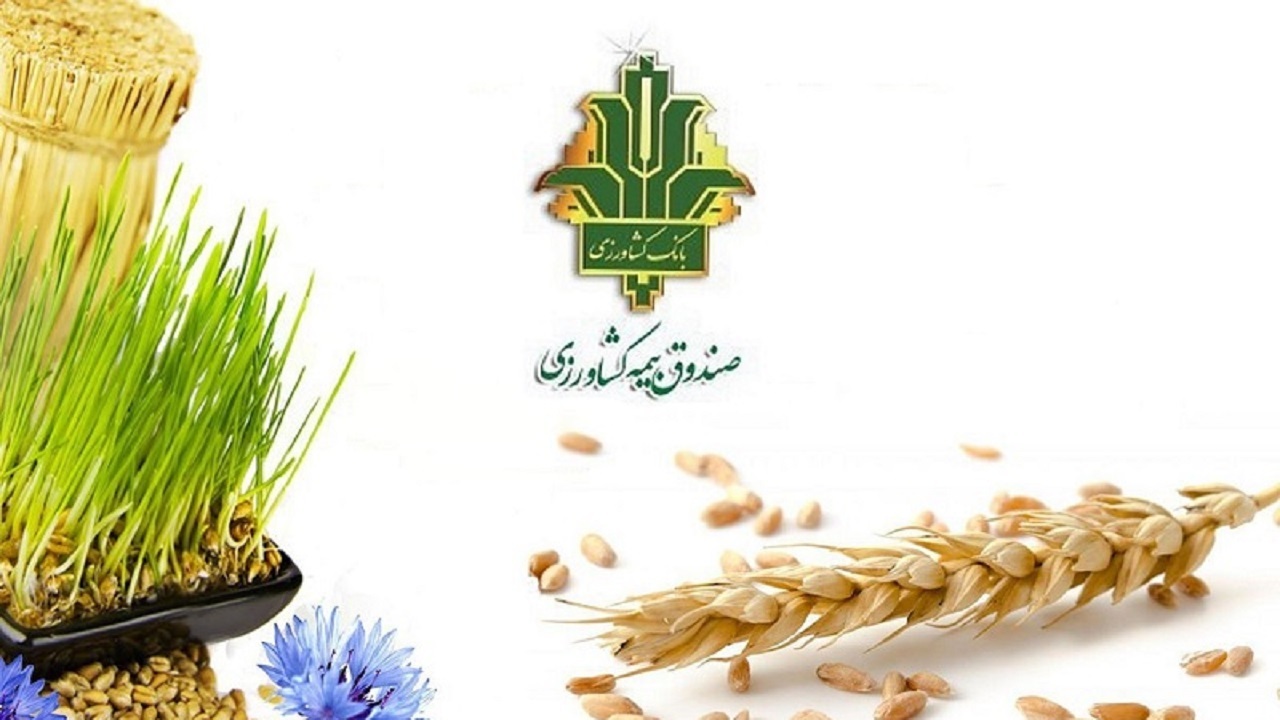 افزایش سقف تعهدات و سهم دولت در تعرفه‌های بیمه کشاورزی