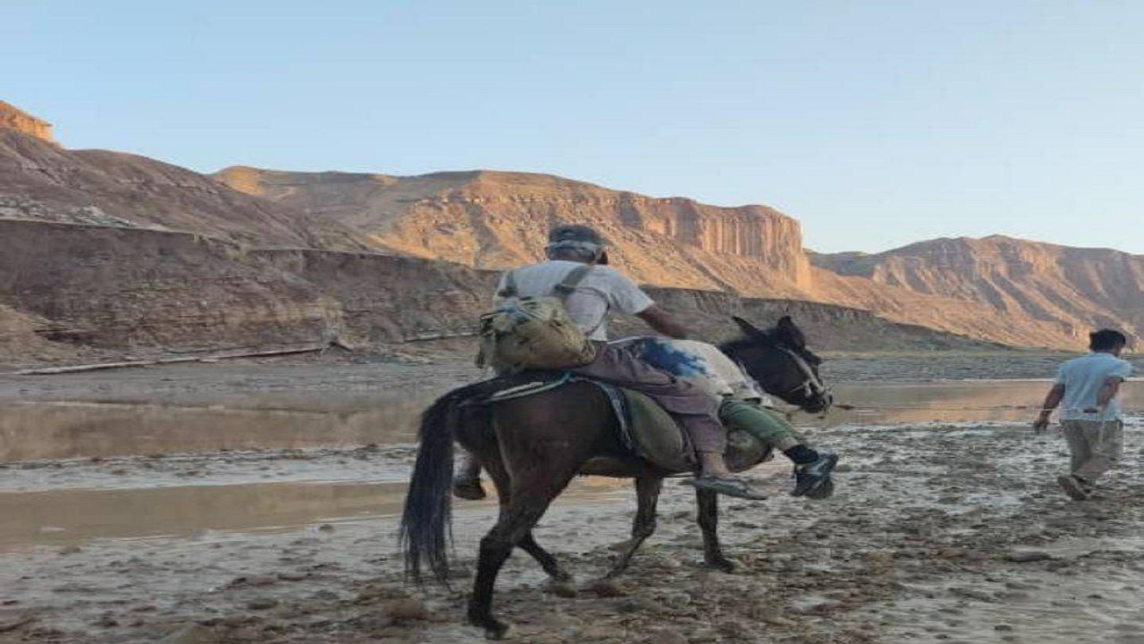 حمل جسد با چارپا