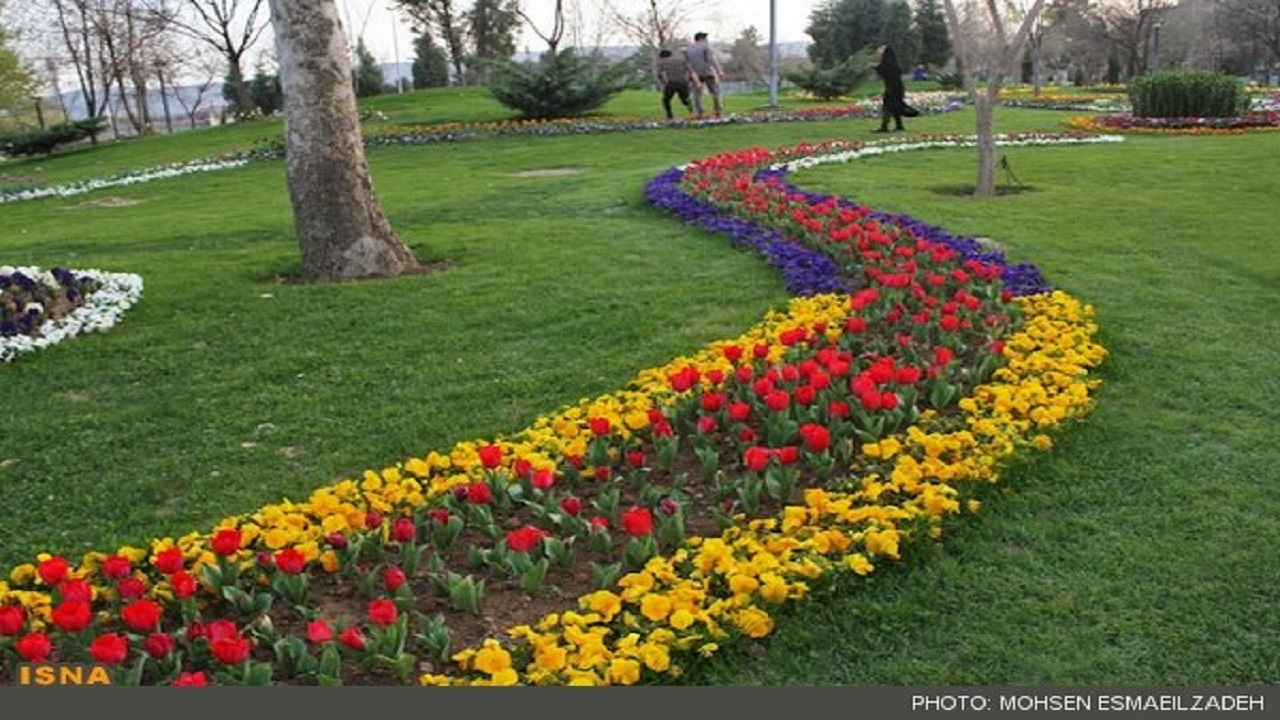 ضرورت افزایش سرانه فضای سبز در منطقه هفت کرج