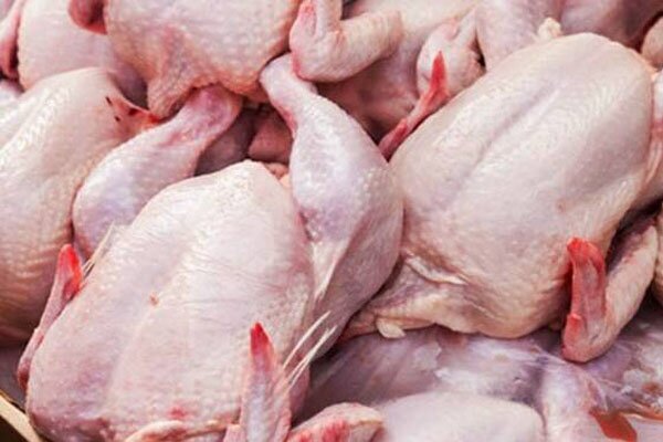 حضور دلالان عامل گرانی مرغ است کمبود عرضه مرغ در بازار و دوباره صف!