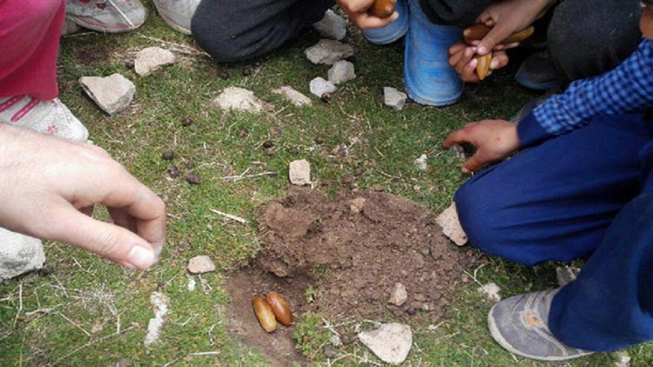 همت کوهنوردان در حفظ جنگل های زاگرس