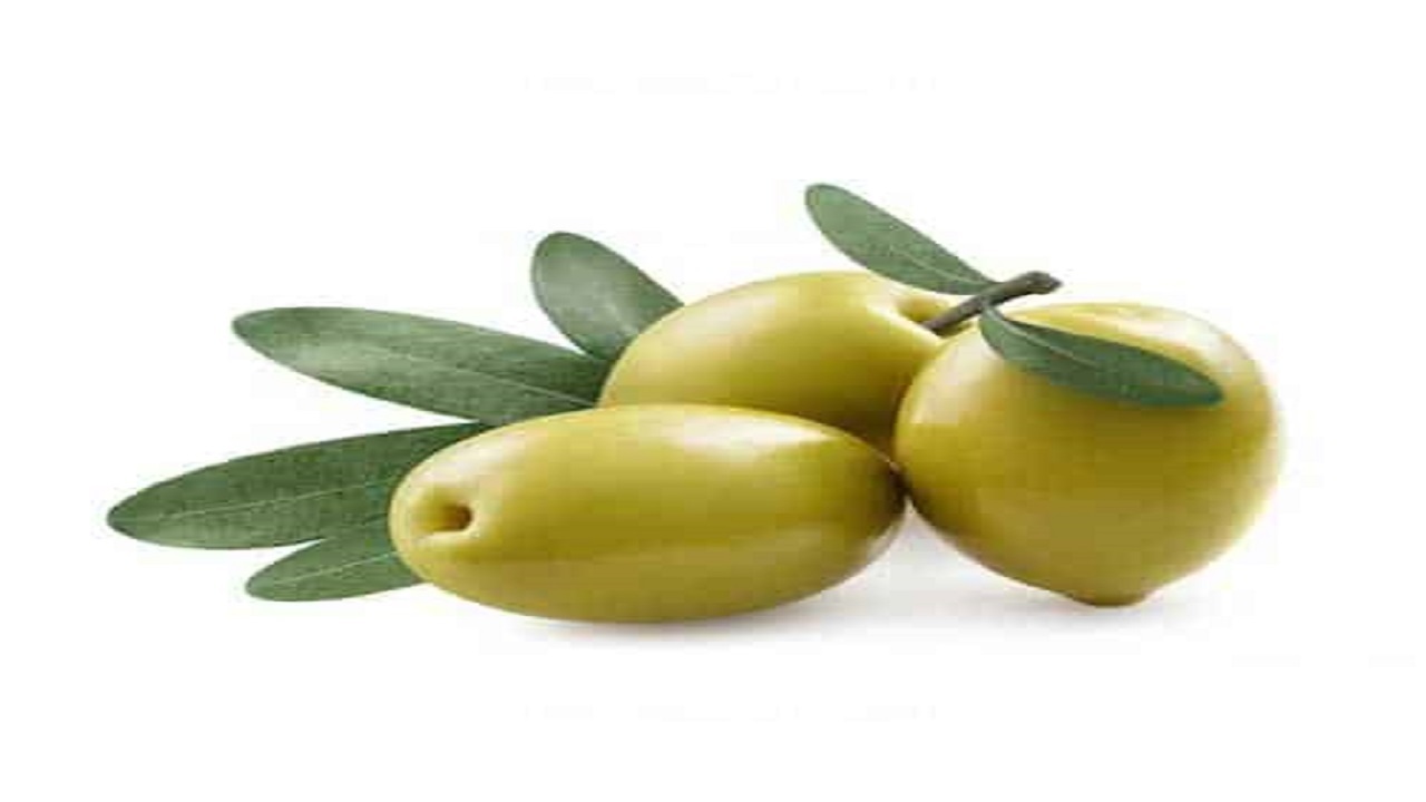 هزینه خرید زیتون چقدر است؟