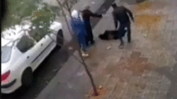 طعمه شدن کودک کرمانشاهی توسط عقاب + فیلم