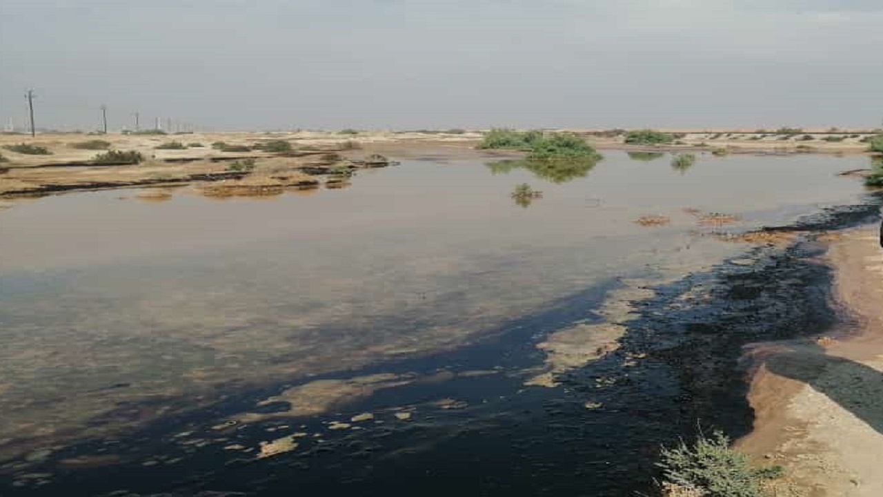 ایجاد لکه نفتی اطراف روستای شول گناوه