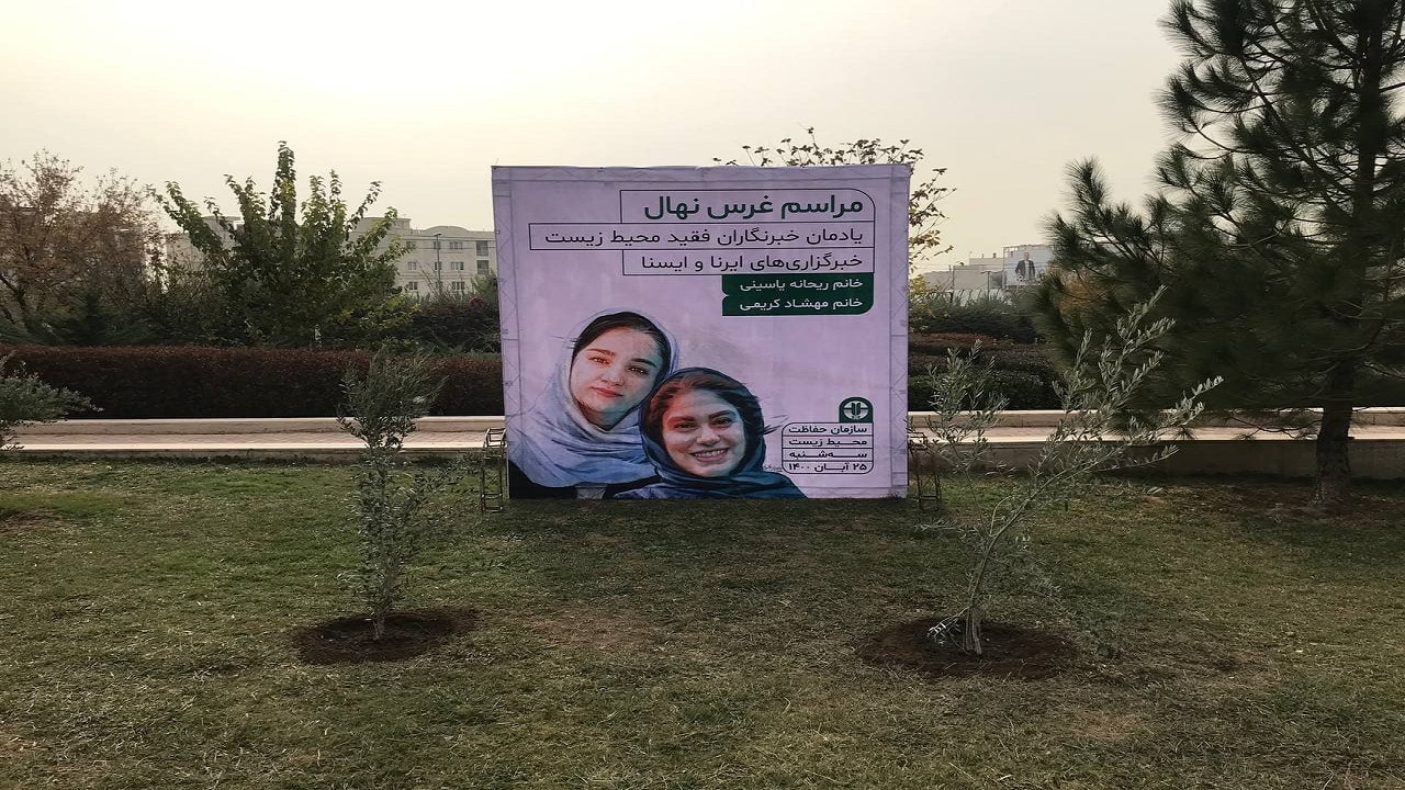 کاشت نهال زیتون به یاد خبرنگاران شهید