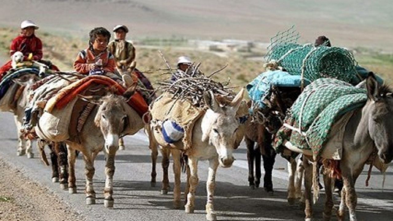 کوچ پاییزه عشایر خراسان رضوی به مناطق قشلاقی آغاز شد