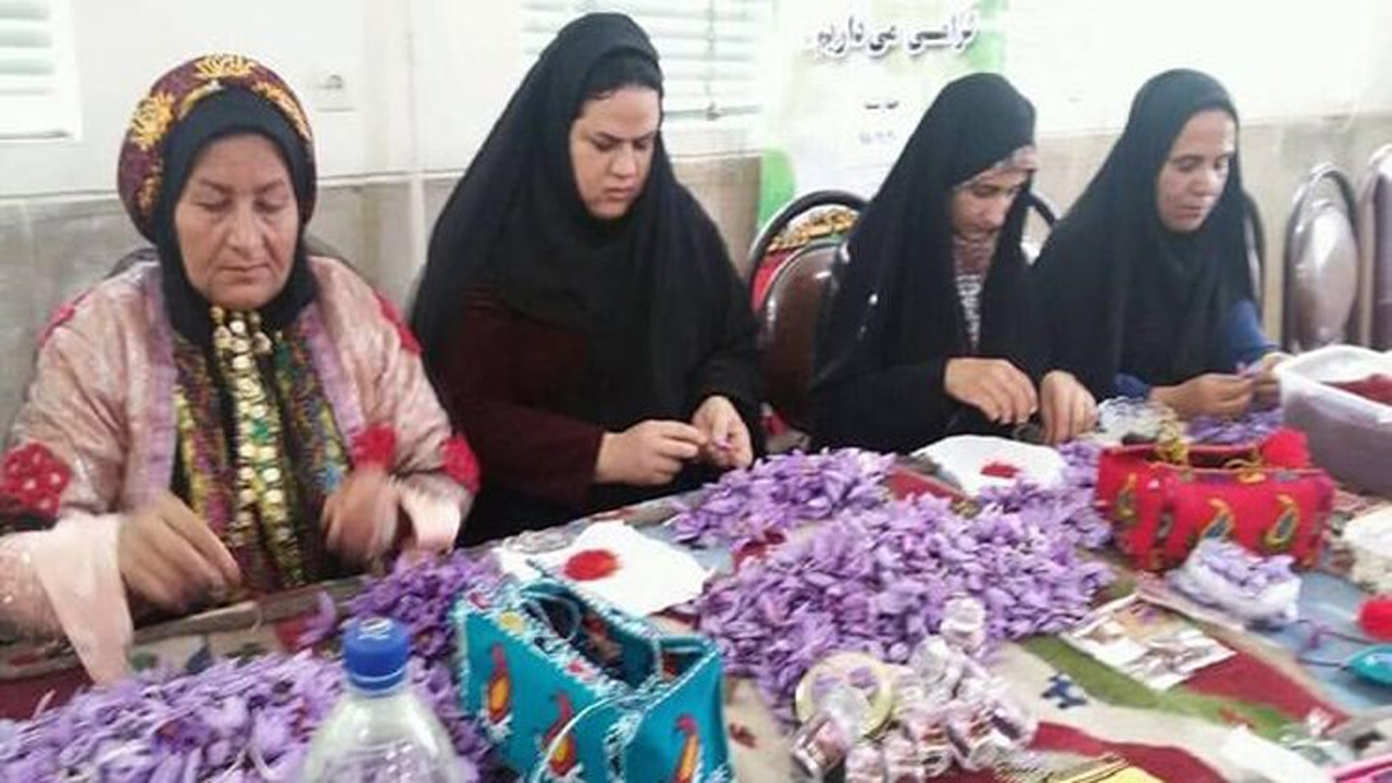 کشت طلای سرخ با چاشنی اراده/ حکایت بانوی کارآفرین کازرونی