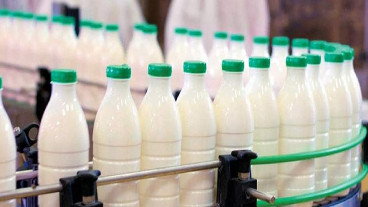 نبود ثبت قیمت بر برخی از اقلام لبنی برخورد تعزیراتی دارد