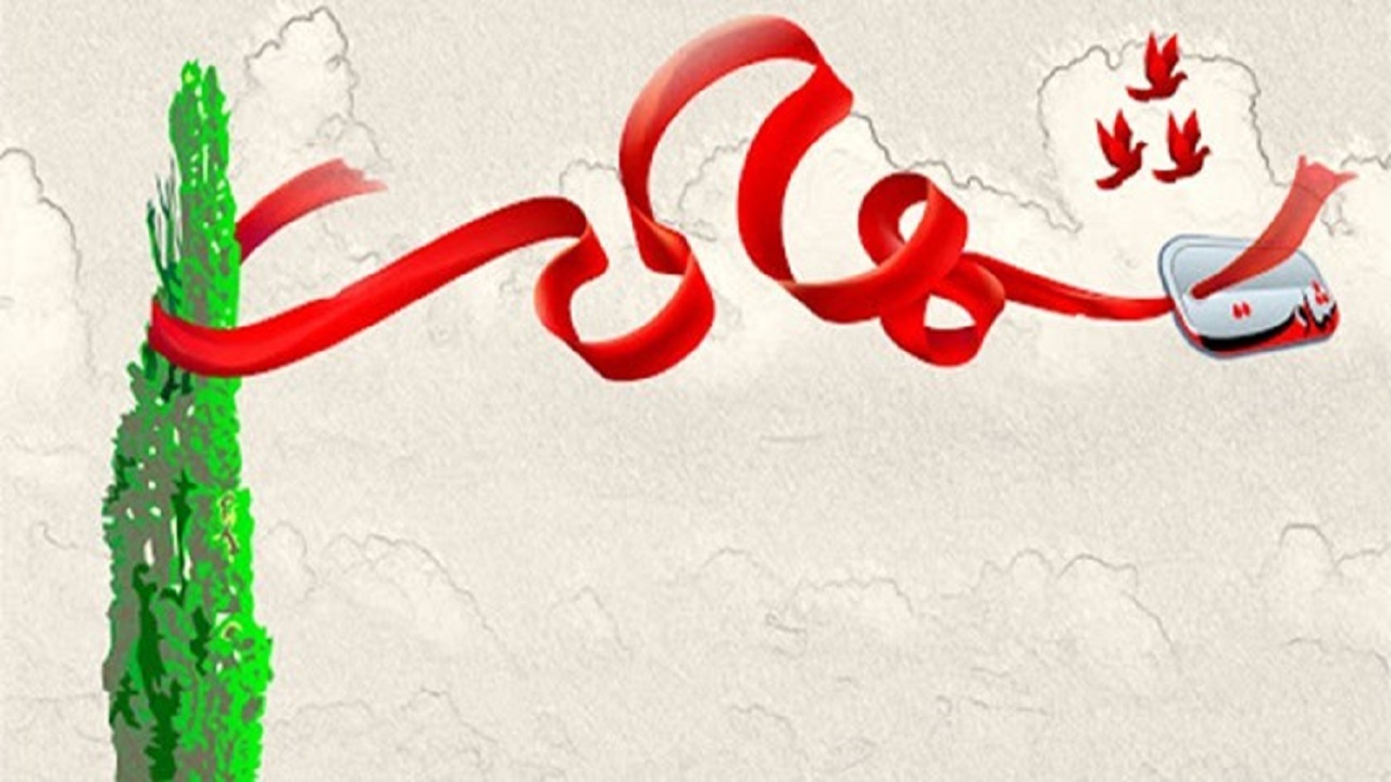 مامور ناجا حین اجرای ماموریت در زاهدان به شهادت رسید