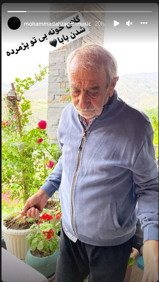 محمد علیزاده محمد علیزاده
