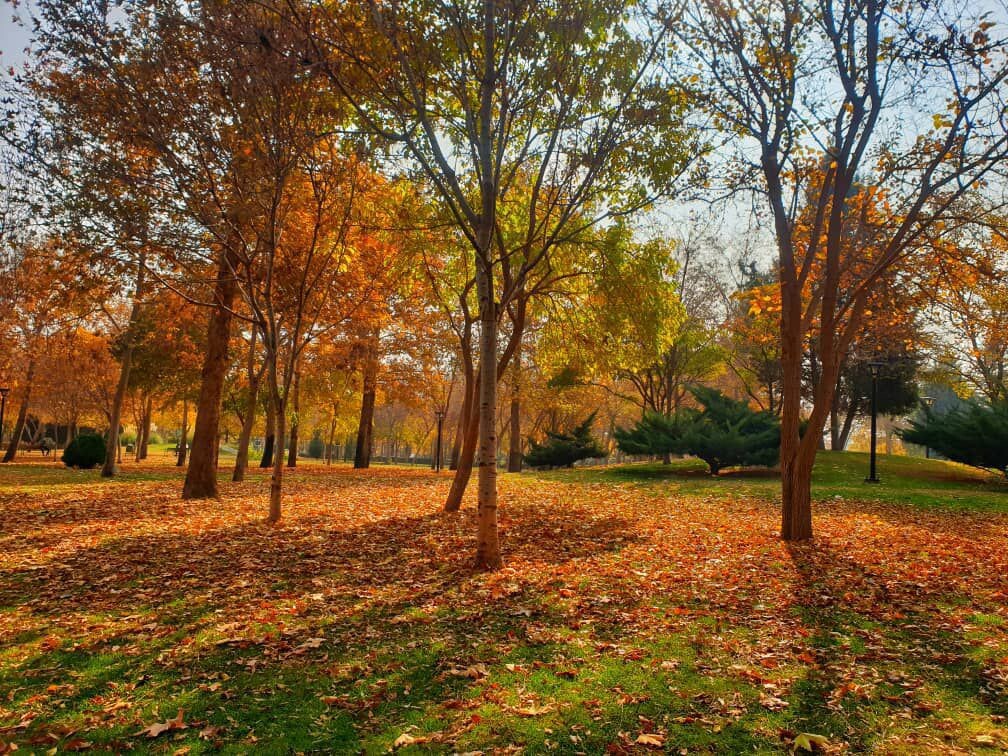 پاییز هزار رنگ اینبار مهمان پارک ملت مشهد شده است + تصویر