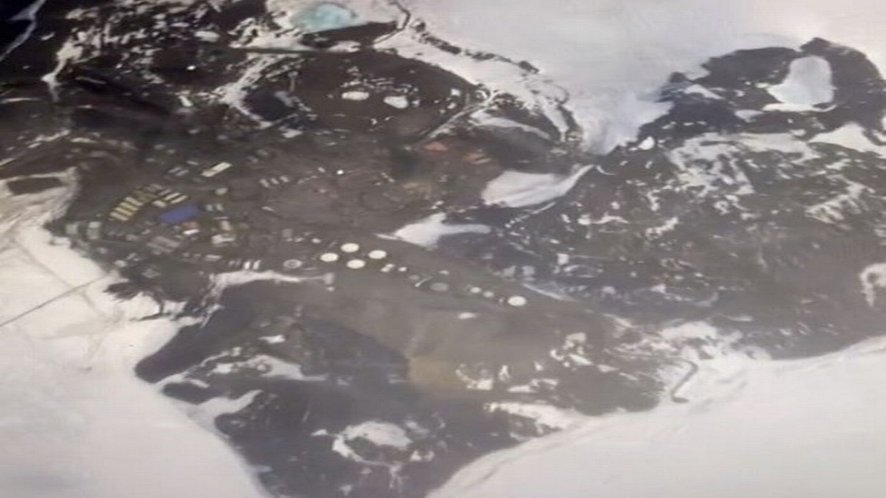 کشف این موجود درgoogle earth