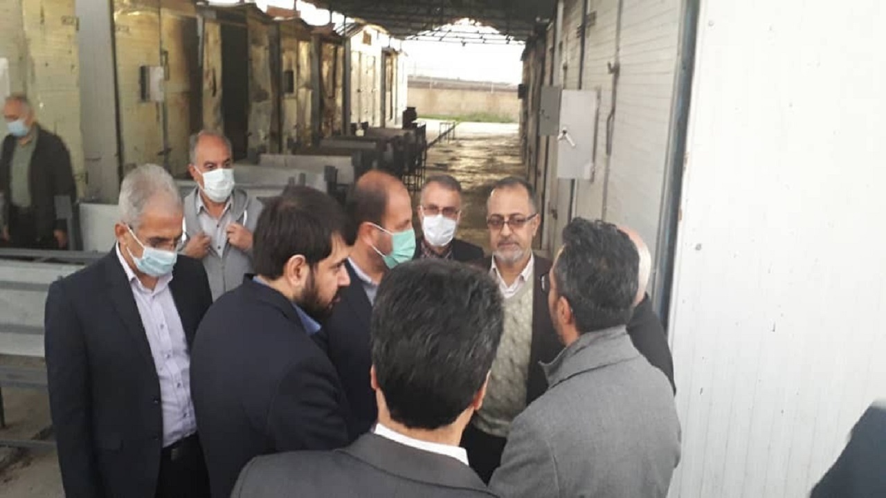 واحدهای فرآوری به تعهدات خود در خرید برگ توتون عمل کنند
