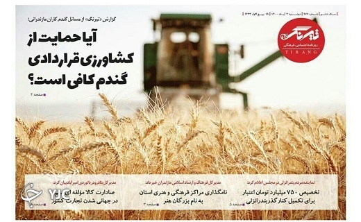 جنگل بدون محافظ می میرد! / طرح جوانی در پیچ و خم تصویب