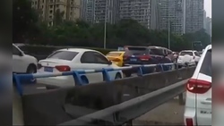 حکایت راننده ماهر و اتومبیل سر به هوا! + فیلم