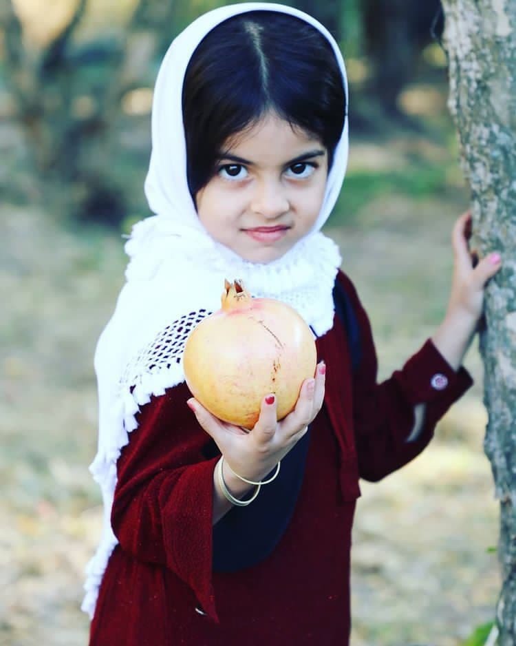 شادی اهالی روستای انبوه در جشن انارچینی + تصاویر شادی اهالی روستای انبوه در جشن انارچینی + تصاویر