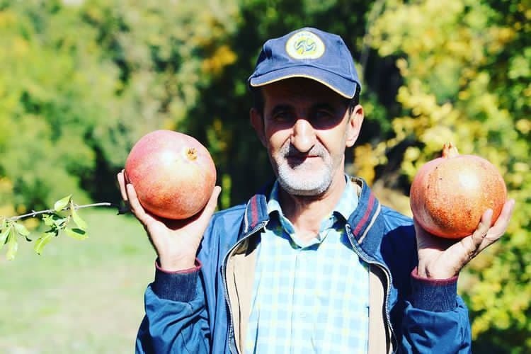 شادی اهالی روستای انبوه در جشن انارچینی + تصاویر شادی اهالی روستای انبوه در جشن انارچینی + تصاویر