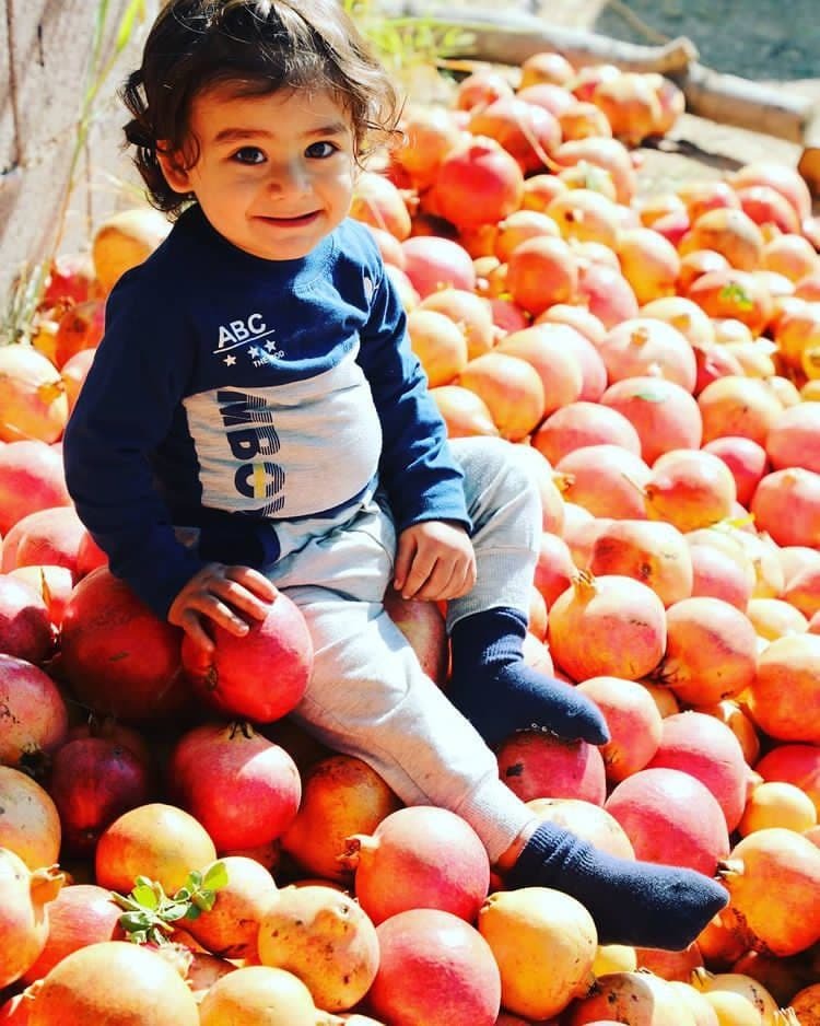 شادی اهالی روستای انبوه در جشن انارچینی + تصاویر شادی اهالی روستای انبوه در جشن انارچینی + تصاویر