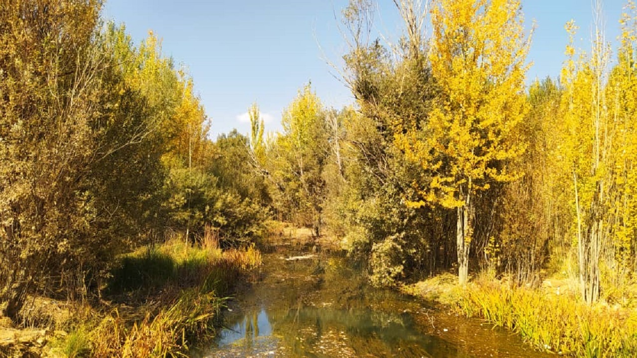 تصاویری از طبیعت پاییزی در روستای ده چشمه