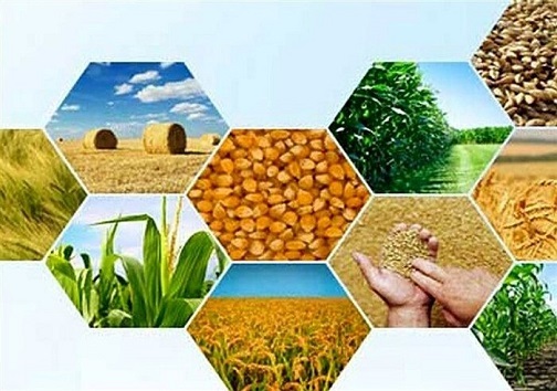استان سمنان چشمانتظار تصمیم ملی برای تامین آب پایدار استان سمنان چشمانتظار تصمیم ملی برای تامین آب پایدار