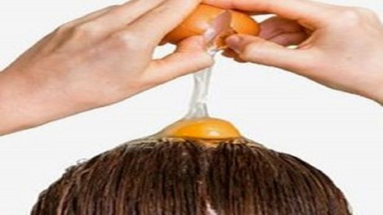 تاثیر زرده، سفیده و تخم مرغ کامل بر مو + روش مصرف هرکدام