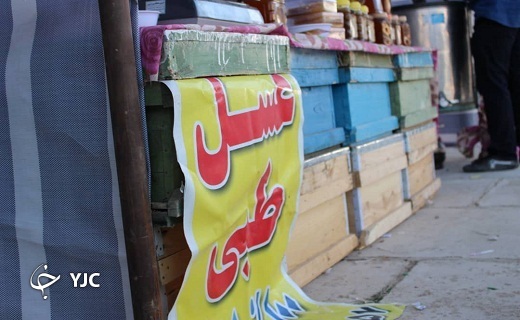 جشنواره عسل بنادکوک دیزه به روایت تصویر