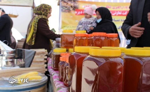 جشنواره عسل بنادکوک دیزه به روایت تصویر