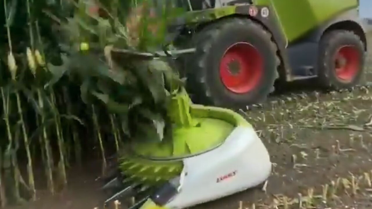 دستگاهی جالب برای برداشت ذرت + فیلم