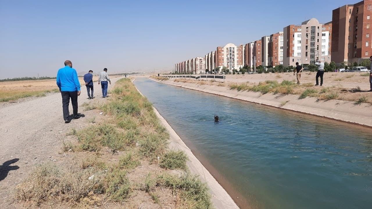 موضوع ناایمن بودن کانال مهرگان حل می‌شود؟