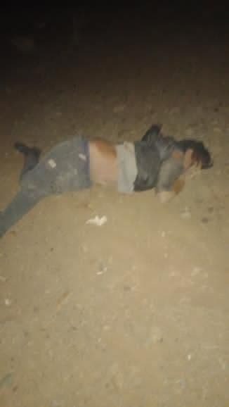 ار