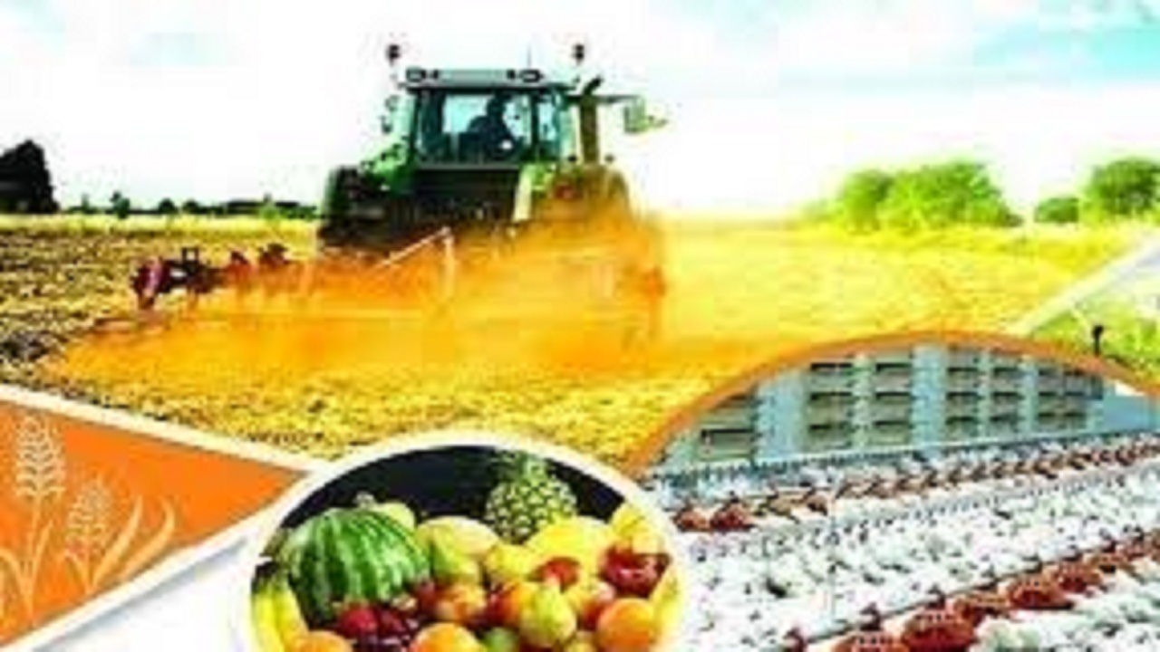 تلاش برای تحقق رشد ۸.۵ درصدی در استان سمنان