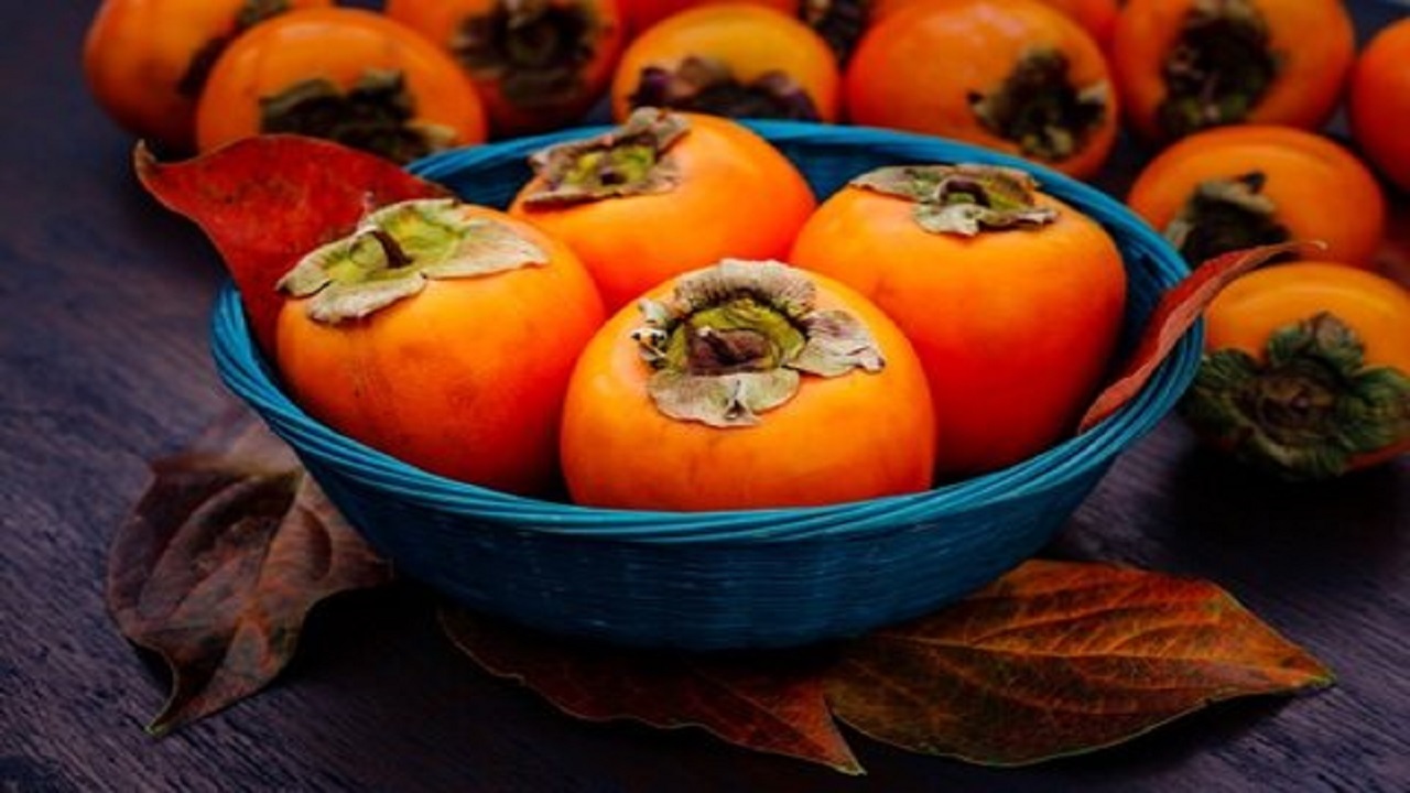 برای دیدن جشنواره خرمالو به پارک ایران کوچک بیایید