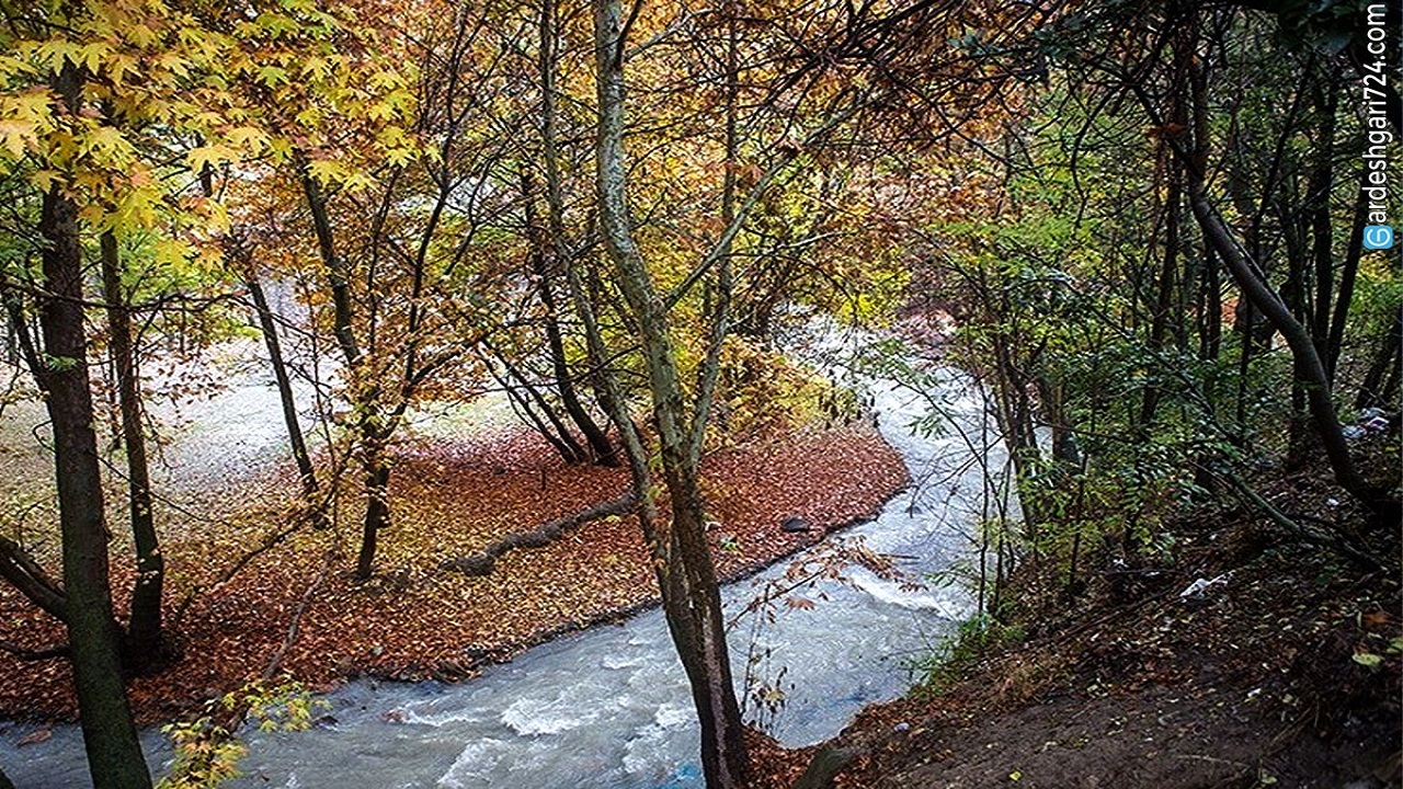 نمایی از طبیعت پاییزی هشتگرد در فصل برگ ریزان + فیلم