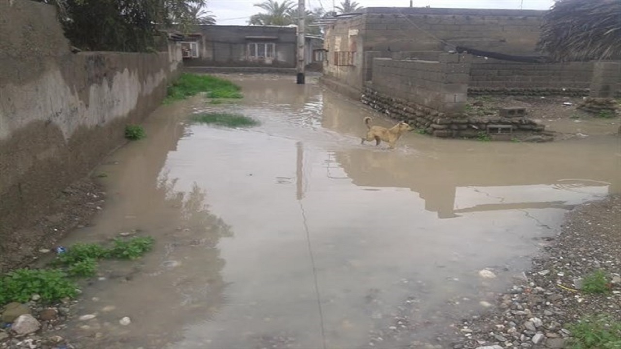 خانه های مملو از آب در روستای کهریز + فیلم