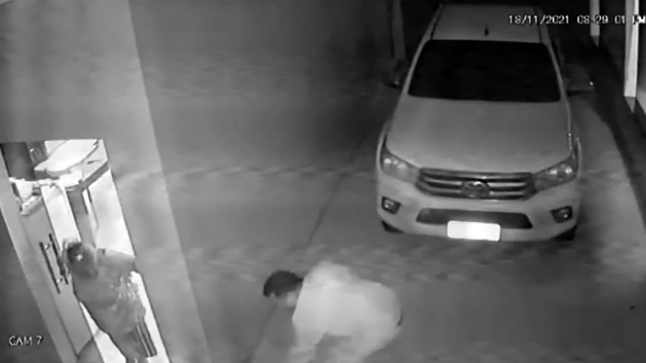دو سگ کوچک، جان صاحبشان را نجات دادند + فیلم